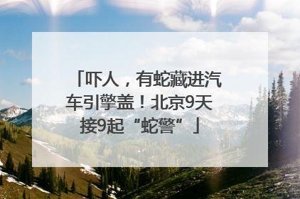 吓人，有蛇藏进汽车引擎盖！北京9天接9起“蛇警”