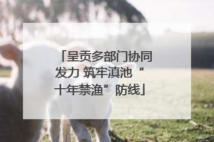 呈贡多部门协同发力 筑牢滇池“十年禁渔”防线