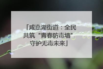 咸嘉湖街道：全民共筑“青春防毒墙” 守护无毒未来