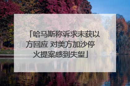 哈马斯称诉求未获以方回应 对美方加沙停火提案感到失望