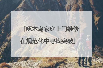 啄木鸟家庭上门维修在规范化中寻找突破