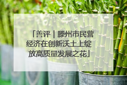 善评｜滕州市民营经济在创新沃土上绽放高质量发展之花