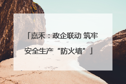嘉禾：政企联动 筑牢安全生产“防火墙”