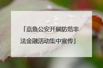嘉鱼公安开展防范非法金融活动集中宣传