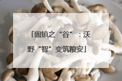 固镇之“谷”：沃野“智”变筑粮安