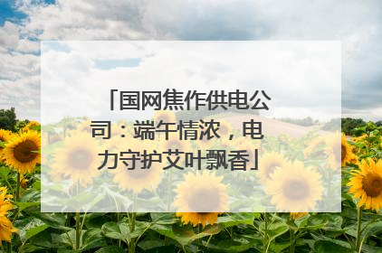 国网焦作供电公司：端午情浓，电力守护艾叶飘香