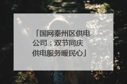 国网秦州区供电公司：双节同庆 供电服务暖民心