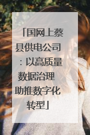 国网上蔡县供电公司：以高质量数据治理 助推数字化转型