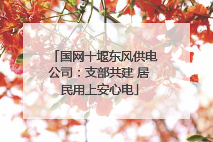 国网十堰东风供电公司：支部共建 居民用上安心电