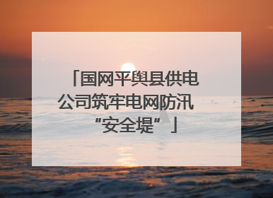 国网平舆县供电公司筑牢电网防汛“安全堤”