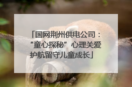 国网荆州供电公司：“童心探秘”心理关爱护航留守儿童成长