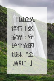 国企先锋行丨张家界：守护平安的那抹“金盾红”