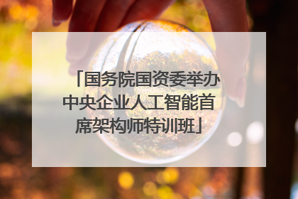 国务院国资委举办中央企业人工智能首席架构师特训班