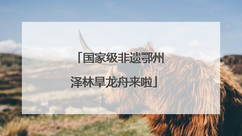 国家级非遗鄂州泽林旱龙舟来啦