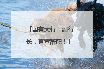 国有大行一副行长，官宣辞职！