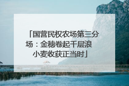 国营民权农场第三分场：金穗卷起千层浪 小麦收获正当时