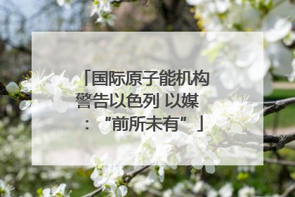 国际原子能机构警告以色列 以媒：“前所未有”