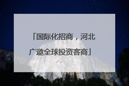 国际化招商，河北广邀全球投资客商