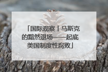 国际观察丨马斯克的黯然退场——起底美国制度性腐败