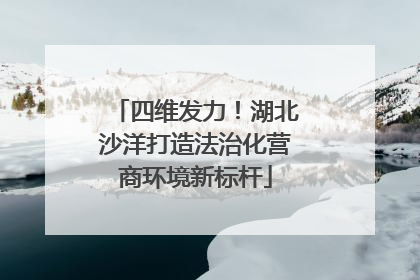 四维发力！湖北沙洋打造法治化营商环境新标杆