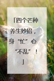 四个芒种养生妙招，身“忙”心“不乱”！