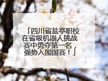 四川省盐亭职校在省级机器人挑战赛中勇夺第一名，强势入围国赛！