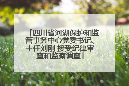 四川省河湖保护和监管事务中心党委书记、主任刘刚 接受纪律审查和监察调查