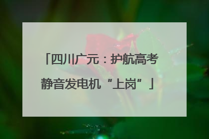 四川广元：护航高考 静音发电机“上岗”
