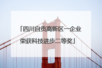 四川自贡高新区一企业荣获科技进步二等奖