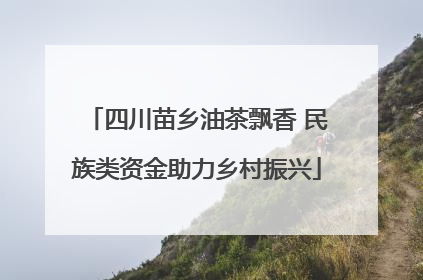 四川苗乡油茶飘香 民族类资金助力乡村振兴