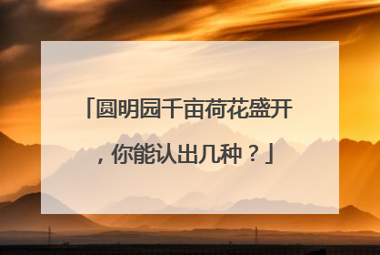 圆明园千亩荷花盛开，你能认出几种？