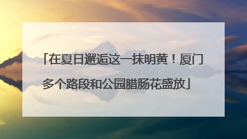 在夏日邂逅这一抹明黄！厦门多个路段和公园腊肠花盛放