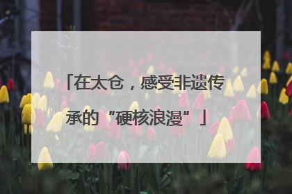 在太仓，感受非遗传承的“硬核浪漫”