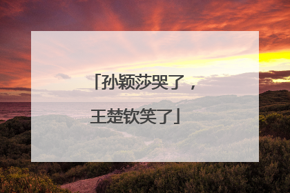 孙颖莎哭了，王楚钦笑了