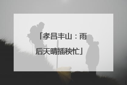 孝昌丰山：雨后天晴插秧忙