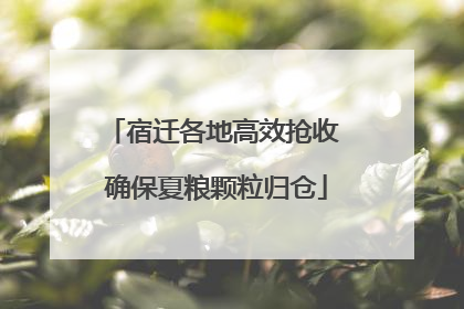 宿迁各地高效抢收 确保夏粮颗粒归仓