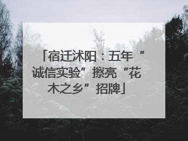 宿迁沭阳：五年“诚信实验”擦亮“花木之乡”招牌