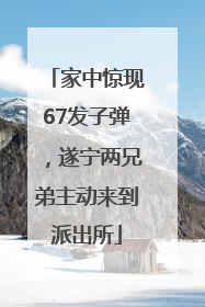 家中惊现67发子弹，遂宁两兄弟主动来到派出所