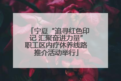 宁夏“追寻红色印记 汇聚奋进力量”职工区内疗休养线路推介活动举行