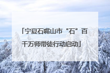 宁夏石嘴山市“石”百千万师带徒行动启动