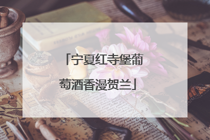 宁夏红寺堡葡萄酒香漫贺兰