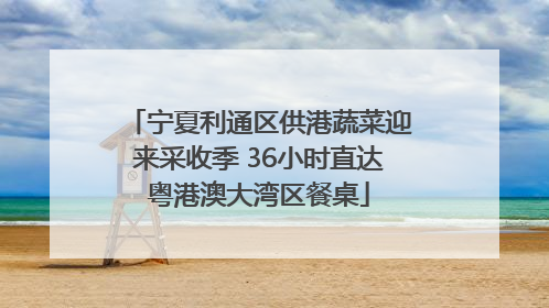 宁夏利通区供港蔬菜迎来采收季 36小时直达粤港澳大湾区餐桌