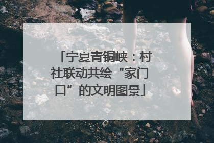 宁夏青铜峡：村社联动共绘“家门口”的文明图景