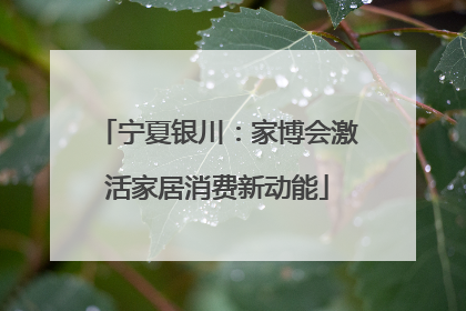 宁夏银川：家博会激活家居消费新动能