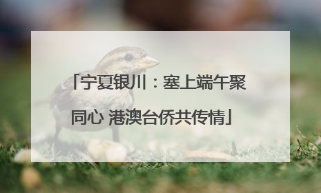 宁夏银川：塞上端午聚同心 港澳台侨共传情