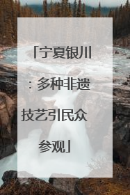 宁夏银川：多种非遗技艺引民众参观