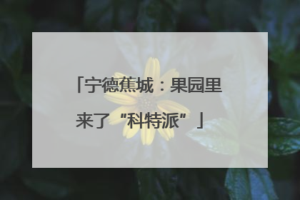 宁德蕉城：果园里来了“科特派”