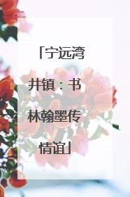 宁远湾井镇：书林翰墨传情谊