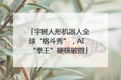 宇树人形机器人全球“格斗秀”，AI“拳王”硬核破圈