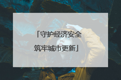 守护经济安全 筑牢城市更新